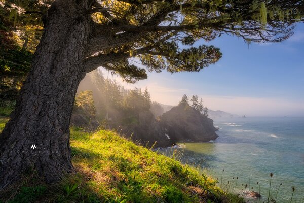 Fantasy-Landschaft, Baum am Wasser