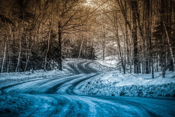 The road through the winter forest