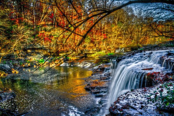 Water rifts in the autumn forest