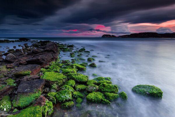 Costa rocosa bajo el cielo nocturno