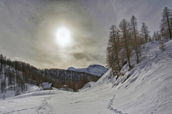 Hiver neige maison nature