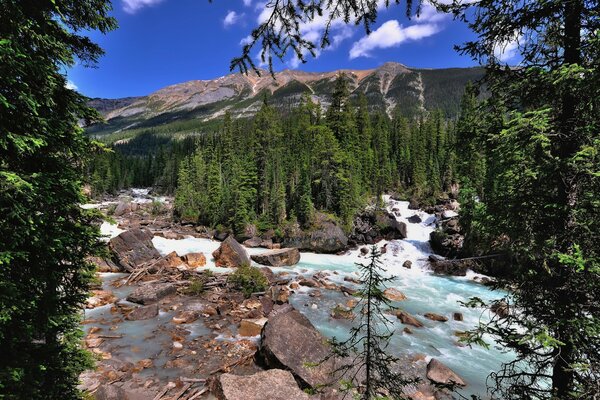 Stones stream Iles trees Nature landscape