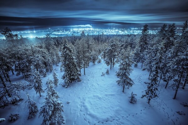 Night shift city through the winter forest