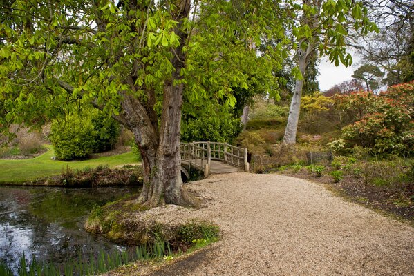 Eine gemütliche Ecke der Natur, eine Brücke, die im Wald über den Fluss führt