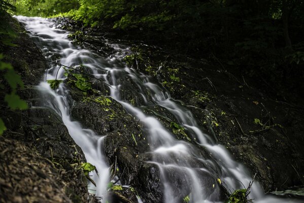 Belles brises de l écoulement de l eau