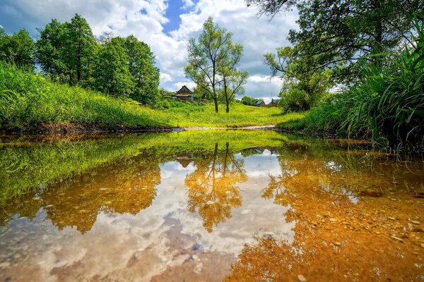 Деревенский пейзаж у озера и леса