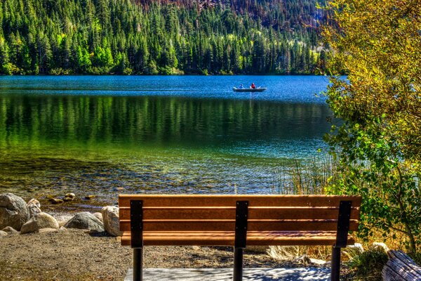 California. Panchina in riva al lago con vista sulla foresta