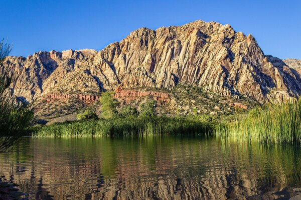 Nel lago, il riflesso dell erba e del fianco della montagna