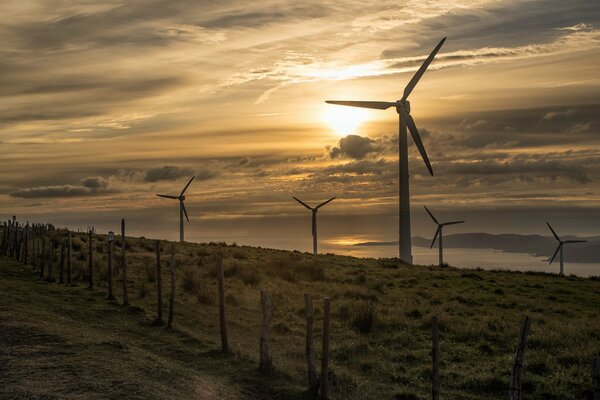 Molinos de viento en la costa al atardecer