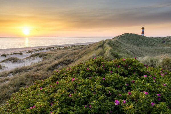 Sonnenaufgang über dem Meer