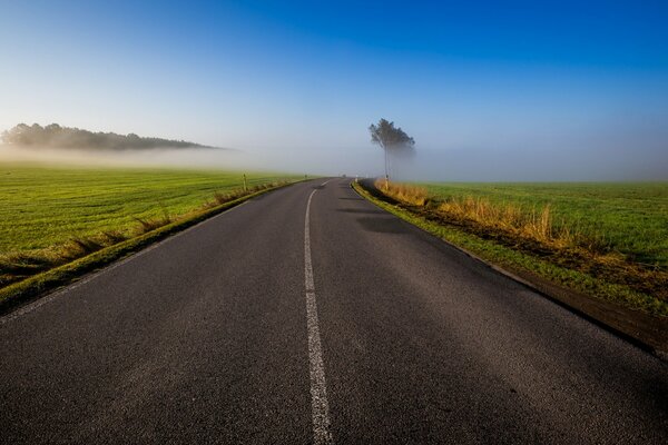 Morgennebel im Feld und schöner Himmel