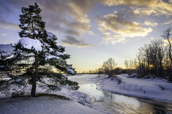 Winter time. River and forest