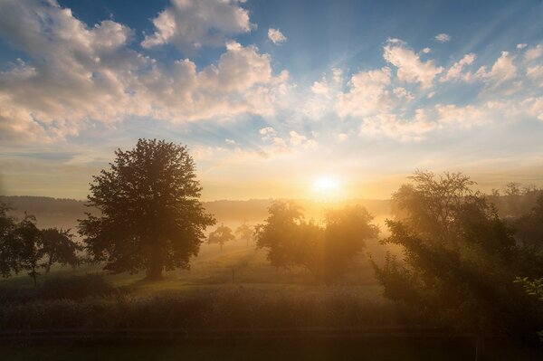 Frühmorgendliche Landschaft