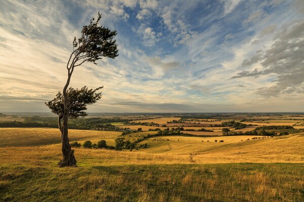 Dramatic landscape on a windy day with a wonderful sky