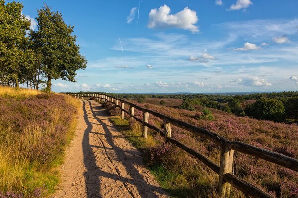 A road passing through a picturesque field