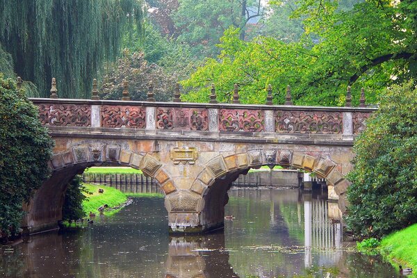 Schöne Brücke im Park, schöne Brücke im Park, Bäume und Brücke im Park, erstaunliche Brücke im Park