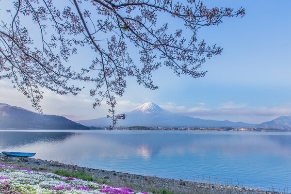 Landscape with views of Mount Fuji and Lake