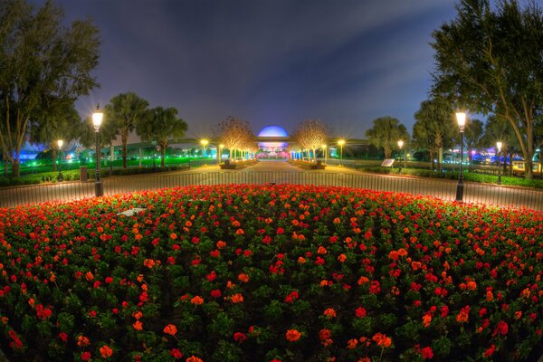 Sera, Parco, città aiuola con lanterne di fiori