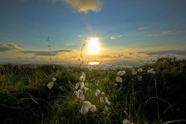 Landscape sunset on the sea