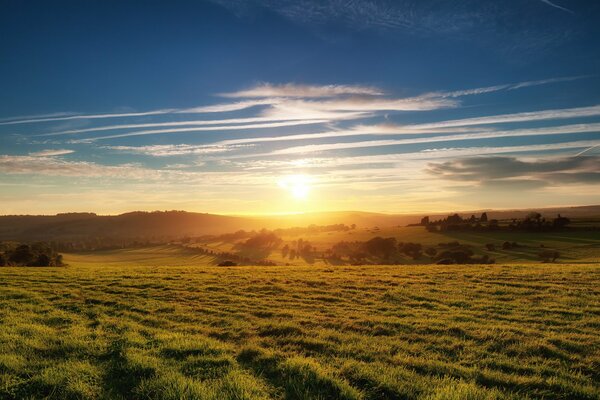 Dawn over a green field