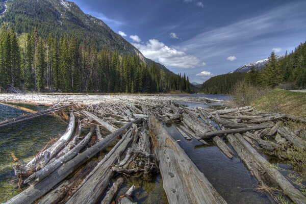 Journaux flottant sur la rivière parmi les montagnes