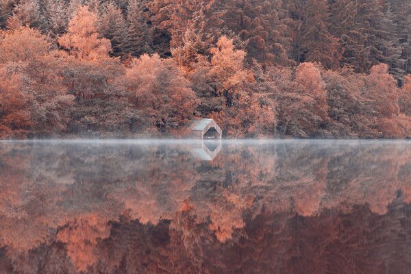 Réflexion des arbres et de la pente dans le lac