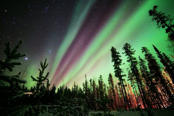 Paisaje del cielo nocturno con Aurora boreal