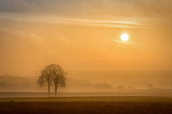 Alsace in all its glory in the evening