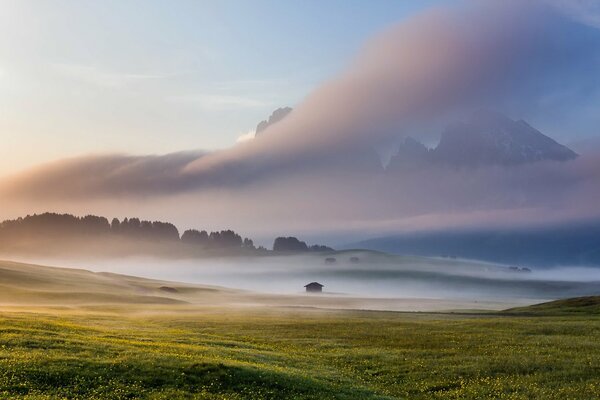 Bella nebbia in un campo italiano