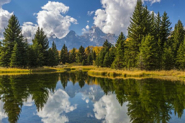 Reflexion von Bäumen und Wolken im Wasser