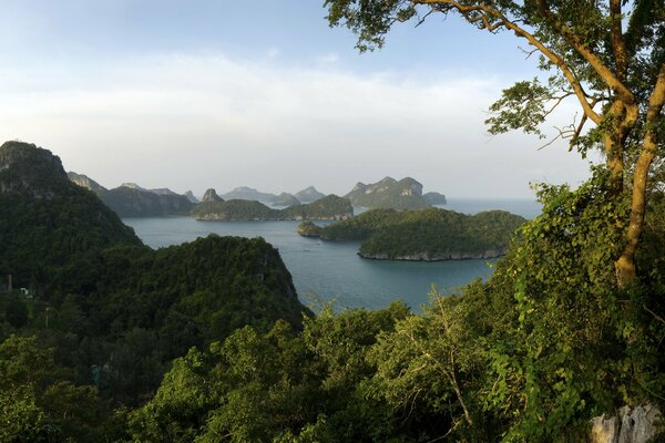 Parque e islas de tierra en el agua