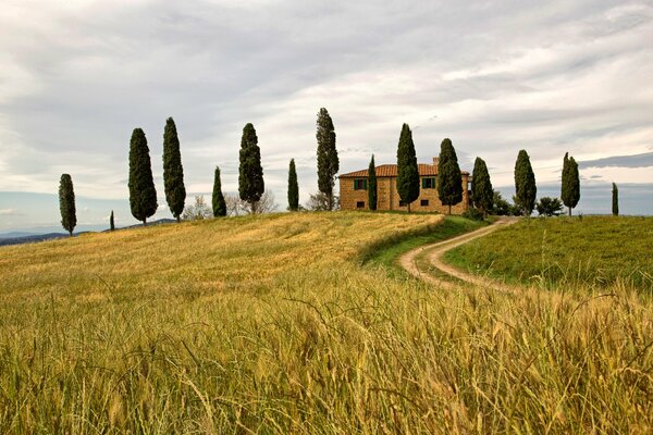 La strada per la casa che attraversa il campo