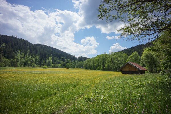 Германия , зелёный луг. Домик посередине поляны