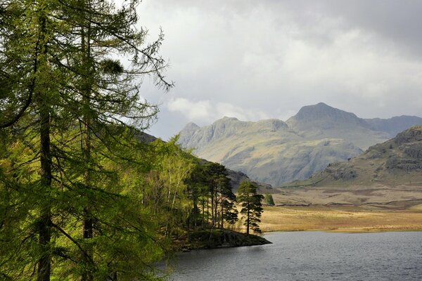 A lake with mountains and a coniferous forest on its shore