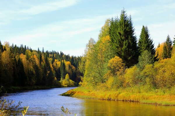 River on the background of autumn forest in Perm krai