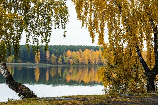 Ufer des Sees des herbstlichen Waldes