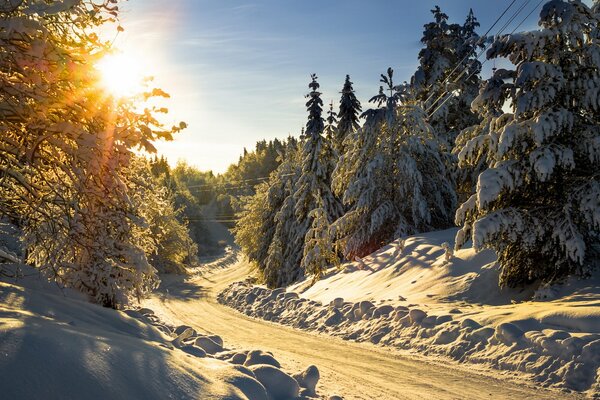 Winter landscape. Snow-covered road in the forest