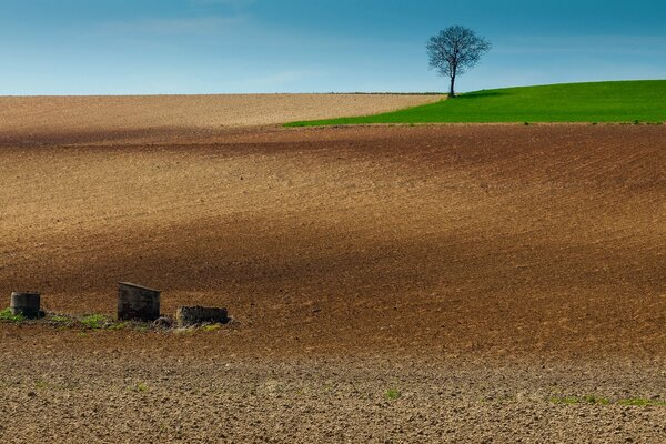 Paisaje mágico con un hermoso campo