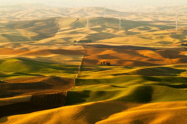 Mulini a vento sulle colline gialle