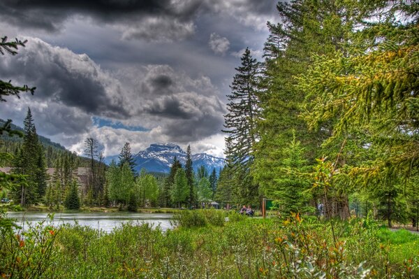 Ein Wald mit Gewitterwolken und ein Fluss