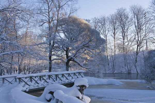 Ponte nel paesaggio invernale con alberi innevati