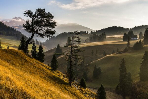 Mattina nebbiosa in montagna