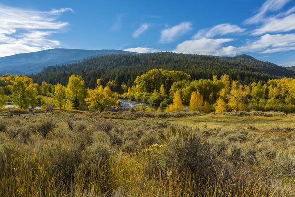 National Park in Wyoming