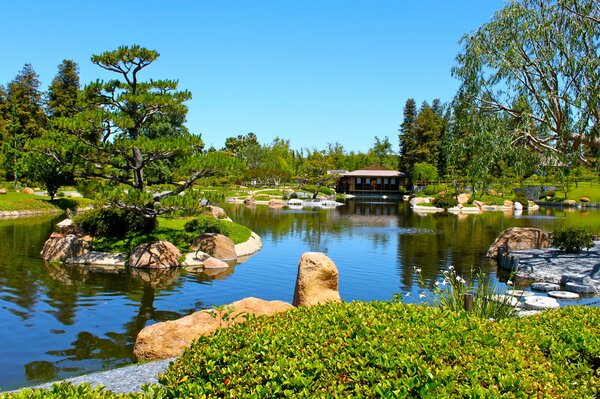 View of the pond house surrounded by trees