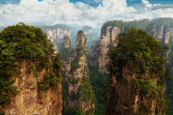 Parque forestal nacional en China