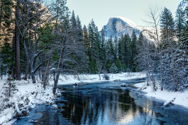 Ein Fluss im Winterwald in den USA