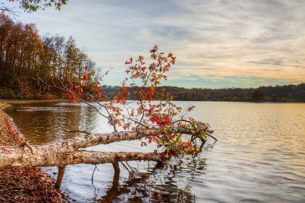 Herbstliche Flusslandschaft mit roten Blättern