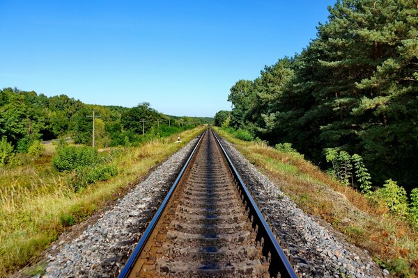 A railway surrounded by nature