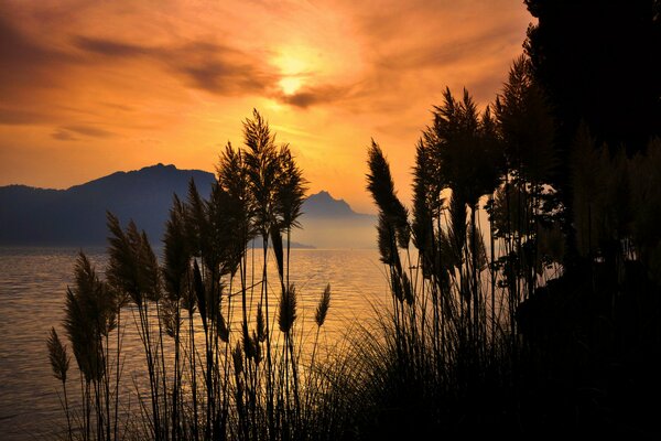 Landschaft bei Sonnenuntergang mit Meer und Bergen