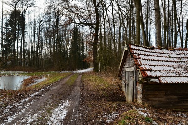 Hütte im Wald